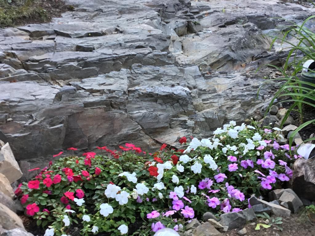 Black Boar Inn Ogunquit Ngoại thất bức ảnh