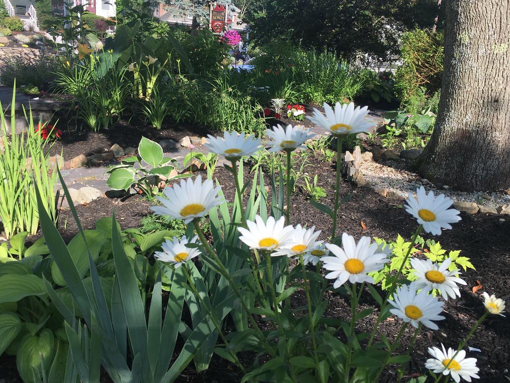 Black Boar Inn Ogunquit Ngoại thất bức ảnh
