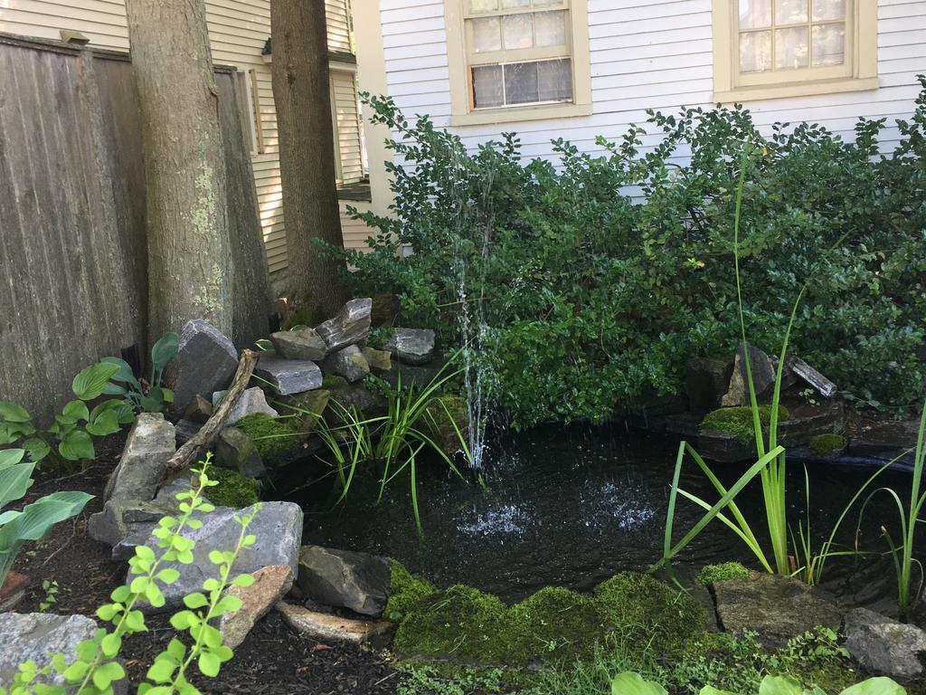 Black Boar Inn Ogunquit Ngoại thất bức ảnh