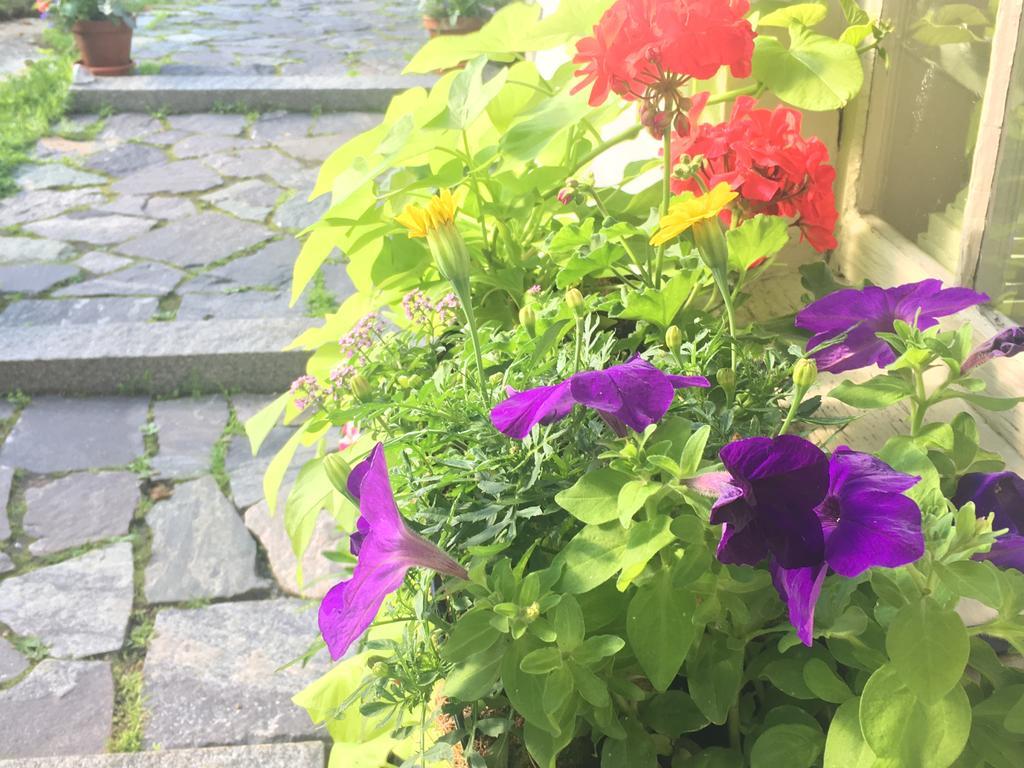 Black Boar Inn Ogunquit Ngoại thất bức ảnh